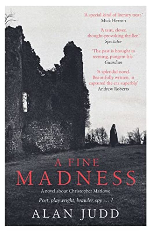 A Fine Madness by Alan Judd-Paperback