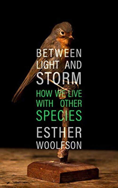 

Between Light and Storm by Abbas Georgetown University Al-TonsiLaila Al-SawiSuzanne Massoud-Hardcover
