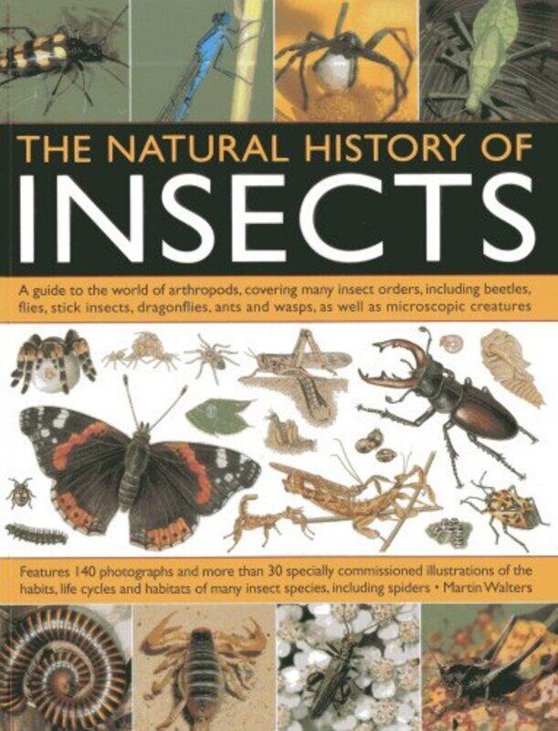 

Natural History of Insects by Gennaro Contaldo-Paperback