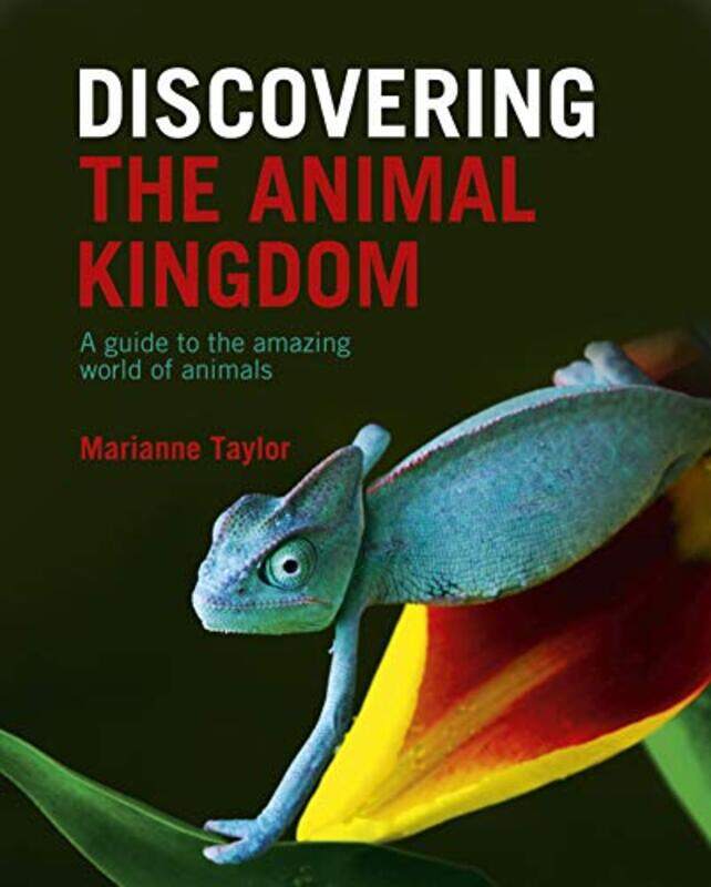 

Discovering The Animal Kingdom by Margaret MullettRobert G Ousterhout-Hardcover