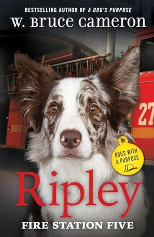 

Ripley Fire Station Five By Cameron W Bruce - Hardcover