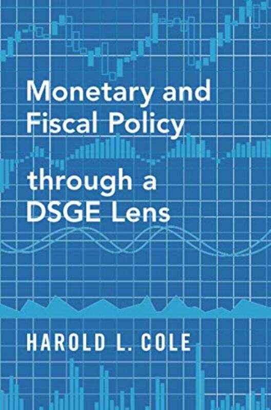 

Monetary and Fiscal Policy through a DSGE Lens by Dr Julia Lawrence-Paperback