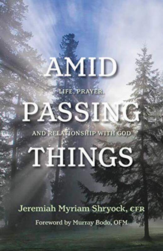 

Amid Passing Things By Shryock Jeremiah - Paperback