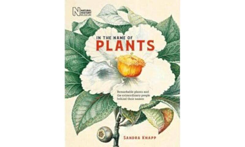

In the Name of Plants by John JonesLavinia Hirsu-Hardcover