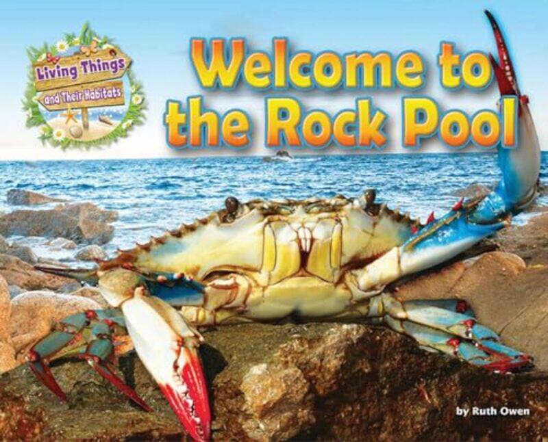 

Welcome to the Rock Pool by Ruth Owen-Paperback