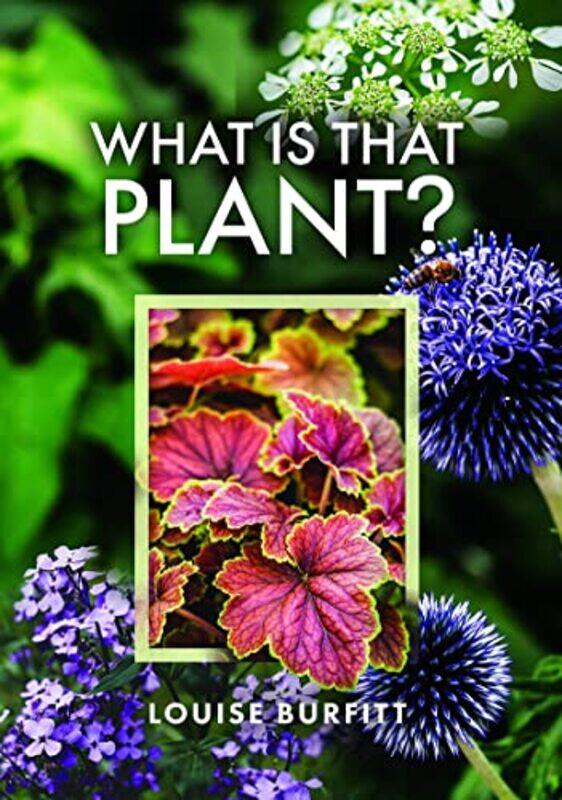 

What is that Plant by Ebimo-Hardcover