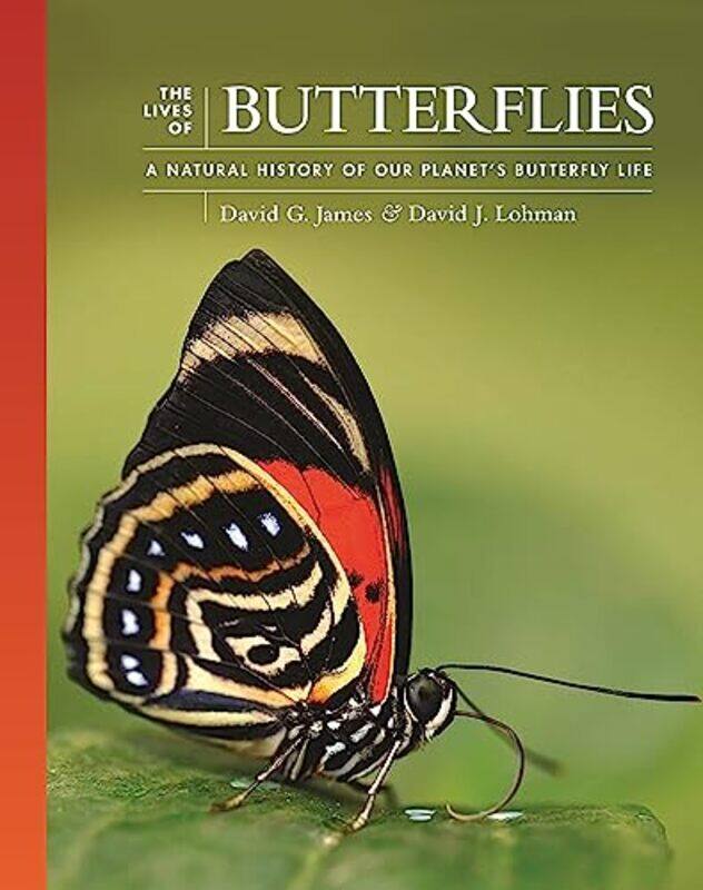 

The Lives of Butterflies by Helen Gamst-Hardcover