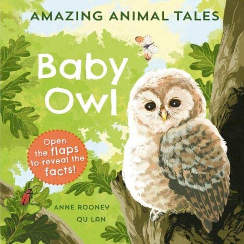 

Amazing Animal Tales Baby Owl by Anne RooneyQu Lan-Hardcover