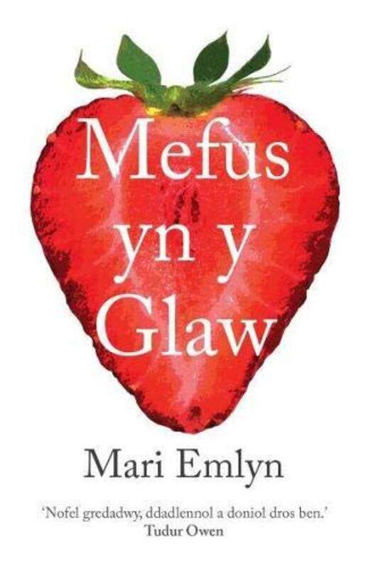 

Mefus yn y Glaw by Mari Emlyn-Paperback