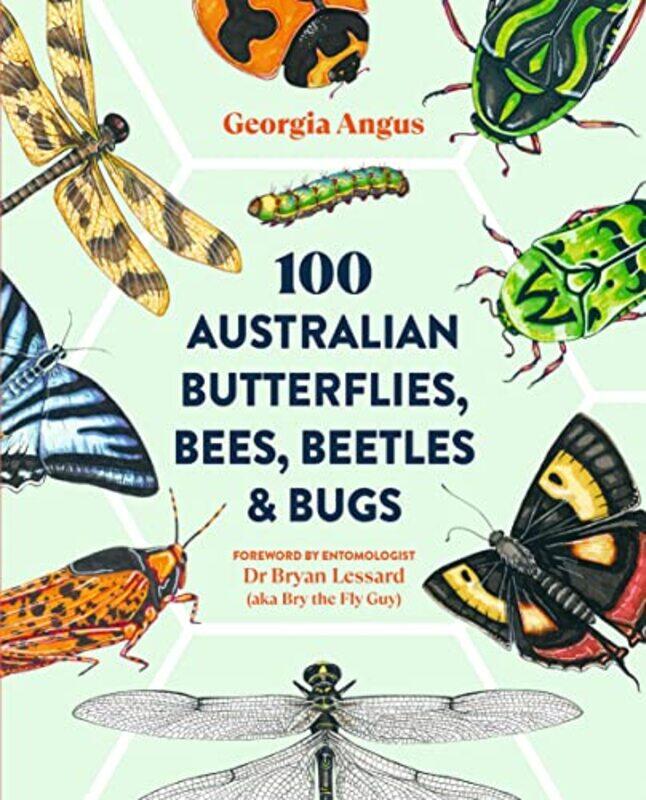 

100 Australian Butterflies Bees Beetles & Bugs by BK MD -Paperback