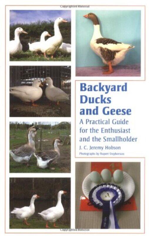 

Backyard Ducks and Geese by Ramakanta Sardar Vallabhbhai National Institute of Technology India Meher-Paperback
