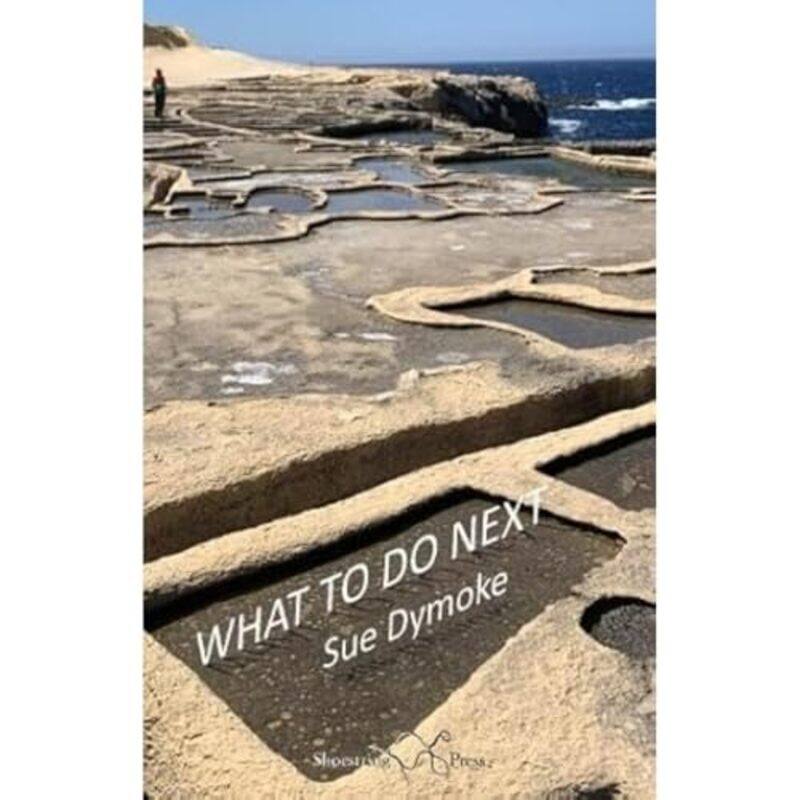 

What To Do Next by Sue Dymoke-Paperback