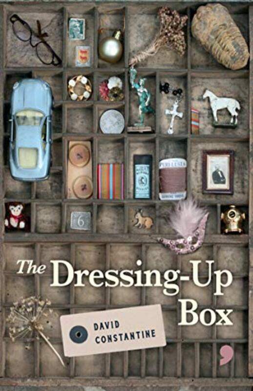 

The DressingUp Box by David Constantine-Paperback