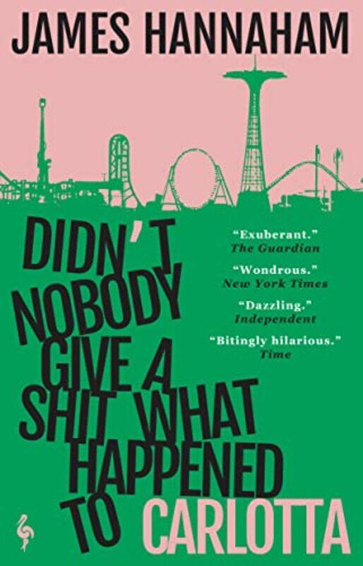 

Didnt Nobody Give a Shit What Happened to Carlotta by James Hannaham-Paperback