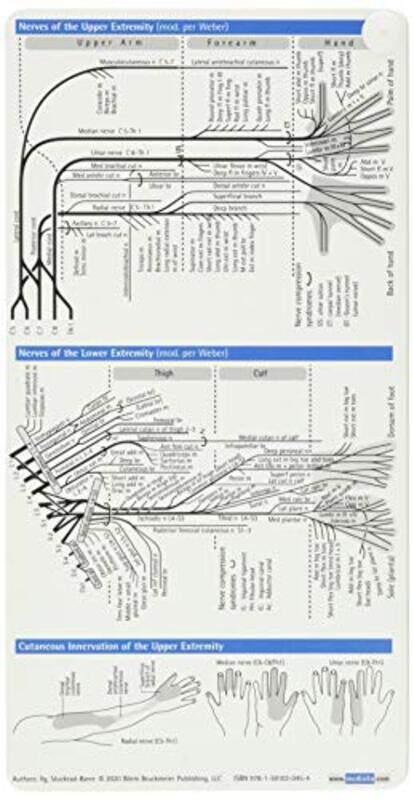 

Neurology Pocketcard Set , Paperback by Sebastian Stuckrad-Barre
