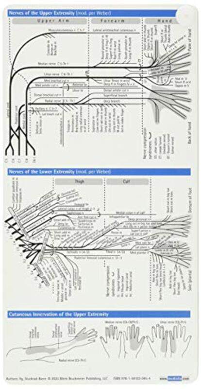 Neurology Pocketcard Set , Paperback by Sebastian Stuckrad-Barre