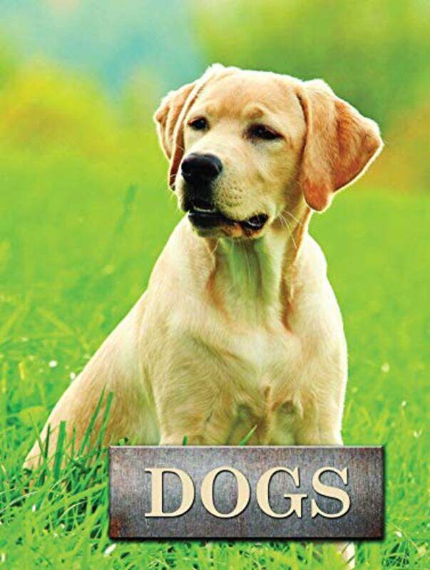 

Dogs by Nikki Digital Assoc Editor Potts-Hardcover