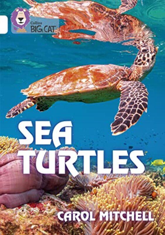 

Sea Turtles by Maja Safstrom-Paperback