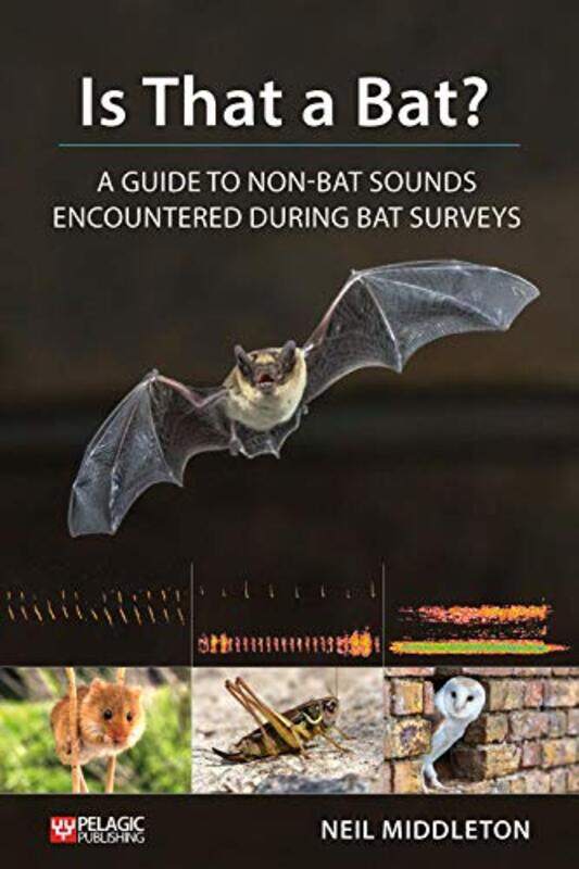 

Is That a Bat by Natural History Museum-Paperback