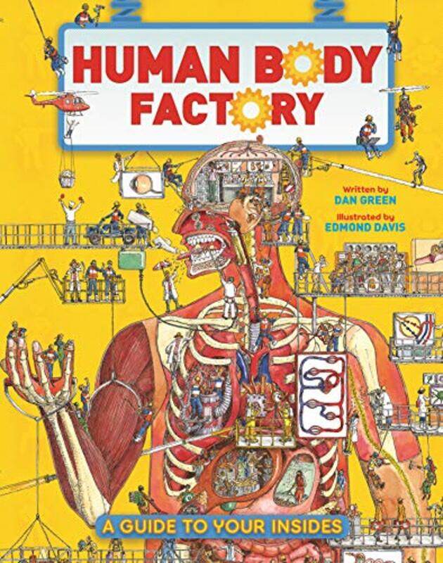 

The Human Body Factory by Dan GreenEdmond Davis-Hardcover