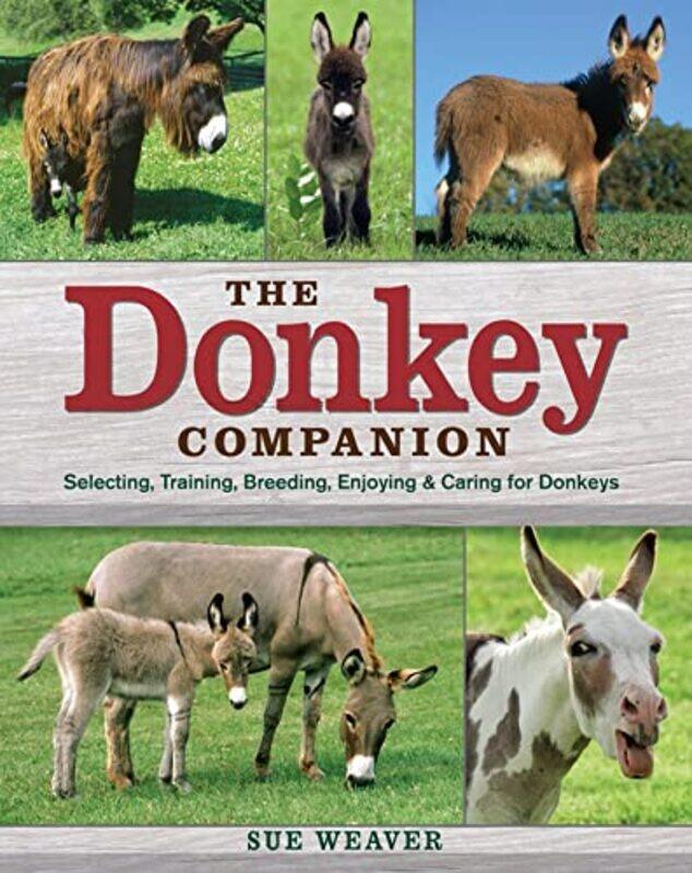 

Donkey Companion by VICTORIA LYNN HANDALinda MD Van Le-Paperback