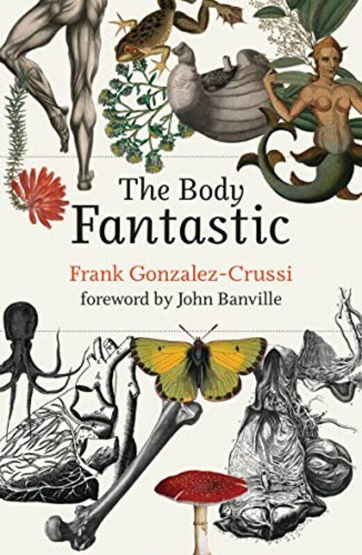 

The Body Fantastic by Frank Gonzalez-CrussiJohn Banville-Hardcover