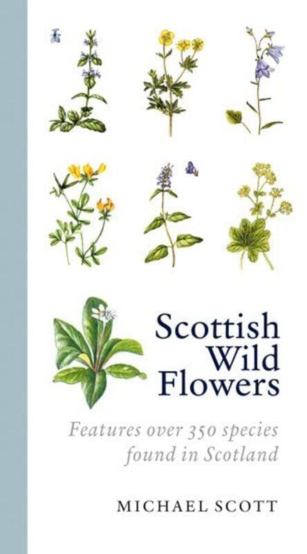 Scottish Wild Flowers by Michael Scott-Paperback