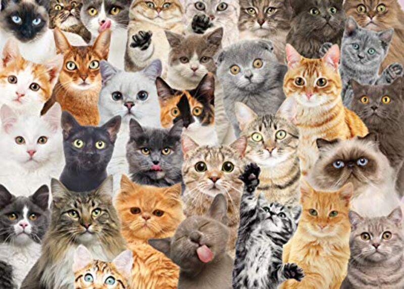 

All the Cats 1,000 Piece Jigsaw Puzzle,Paperback by Peter Pauper Press Inc