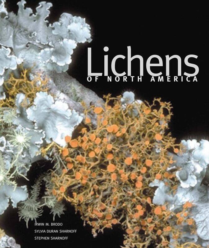 

Lichens of North America by Pat CarsonRoy White-Hardcover