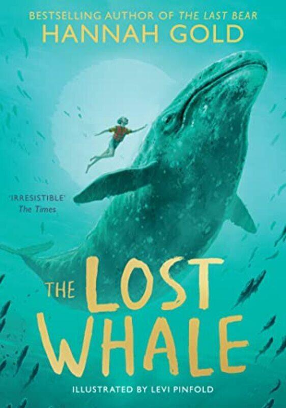 

The Lost Whale by Gold, Hannah - Pinfold, Levi Paperback