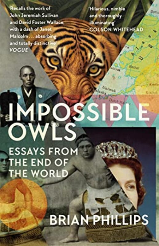 

Impossible Owls by Brian Phillips-Paperback