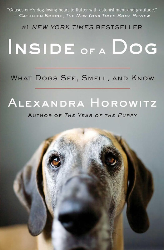 

Inside of a Dog: What Dogs See, Smell, and Know, Paperback Book, By: Alexandra Horowitz