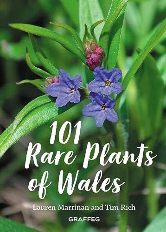 

101 Rare Plants of Wales by Dr Jennifer -Hardcover