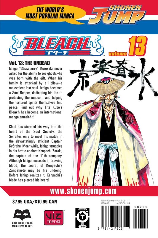 Bleach, Volume 13, Paperback Book, By: Tite Kubo