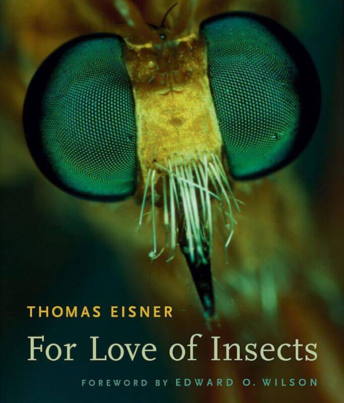 

For Love of Insects by Jenny RobertsNicola Anderson-Paperback