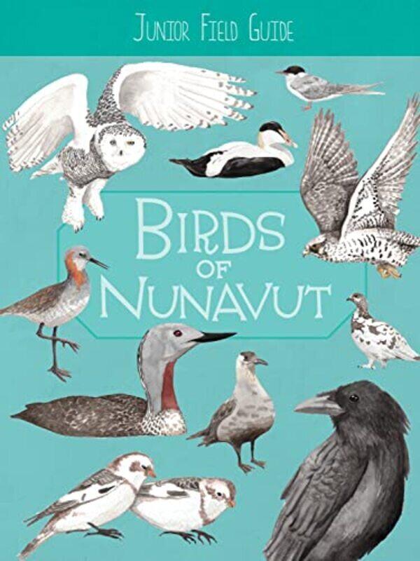 

Junior Field Guide: Birds of Nunavut: English Edition,Paperback by Mallory, Carolyn - Harley, Merle