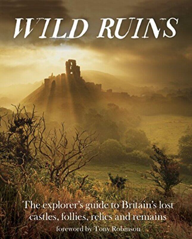 

Wild Ruins by Dave Hamilton-Paperback