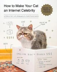 How to Make Your Cat an Internet Celebrity: A Guide to Financial Freedom.paperback,By :Patricia Carlin