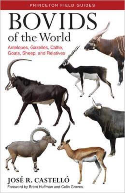 Bovids of the World: Antelopes, Gazelles, Cattle, Goats, Sheep, and Relatives.paperback,By :Dr. Jose R. Castello