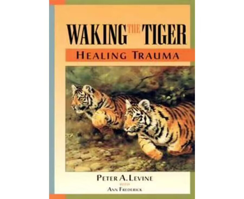 

Waking The Tiger Healing Trauma, Paperback Book, By: Peter A. Levine