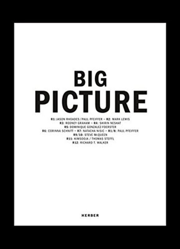 

Big Picture: Places, Projections, Hardcover, By: Doris Krystof