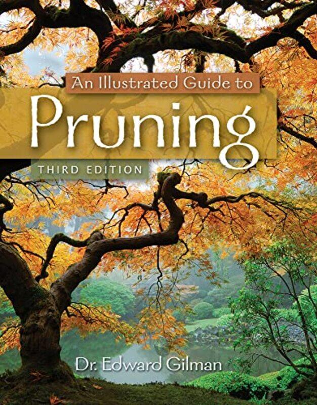 

An Illustrated Guide to Pruning by Zainab St George's University of London London UK JiyadCarsten King's College London London UK Flohr-Paperback