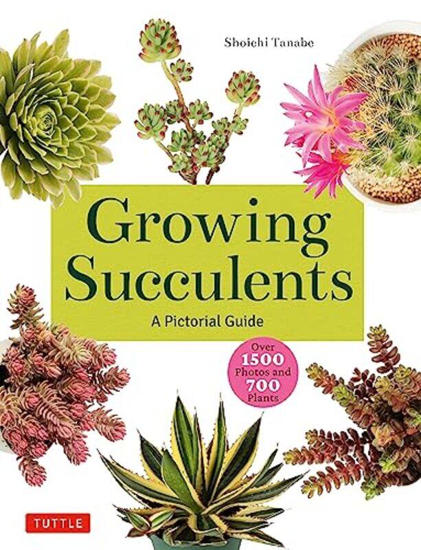

Growing Succulents by Tim NiblockRichard Lawless-Paperback