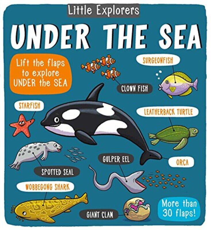 

Little Explorers Under The Sea by Little Bee Books..Hardcover