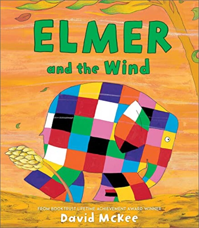 

Elmer and the Wind by David McKee-Paperback