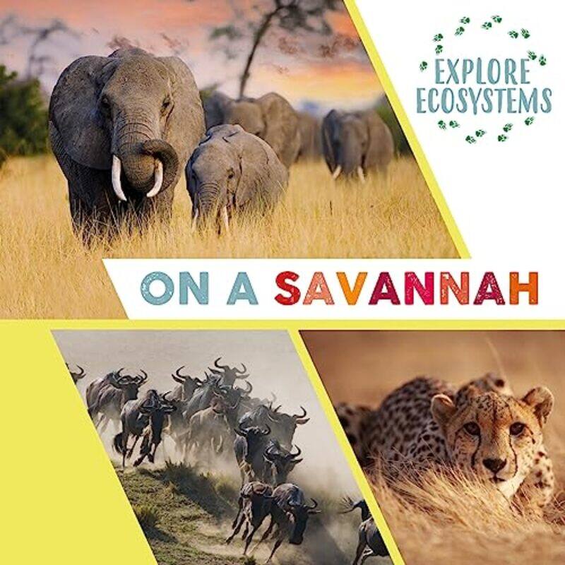 

Explore Ecosystems On a Savannah by Sarah Ridley-Hardcover