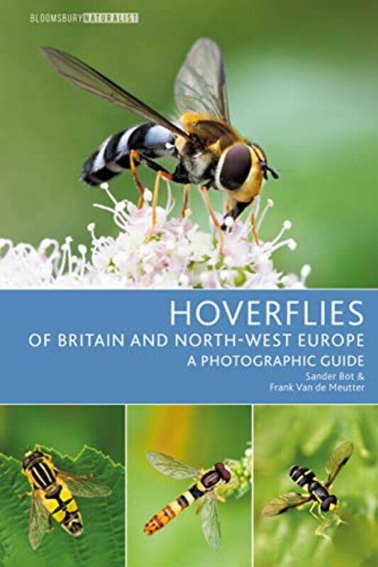 

Hoverflies of Britain and Northwest Europe by Donna DavidNina Pirhonen-Paperback