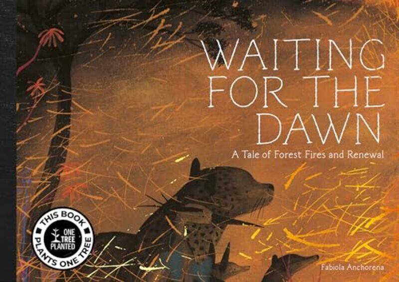 

Waiting For The Dawn By Anchorena Fabiola - Hardcover