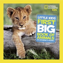 Little Kids First Big Book of Animals by Andrew S Rosenberg-Hardcover