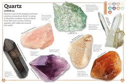 My Book of Rocks and Minerals: Things To Find Collect and Treasure, Paperback Book, By: Devin Dennie